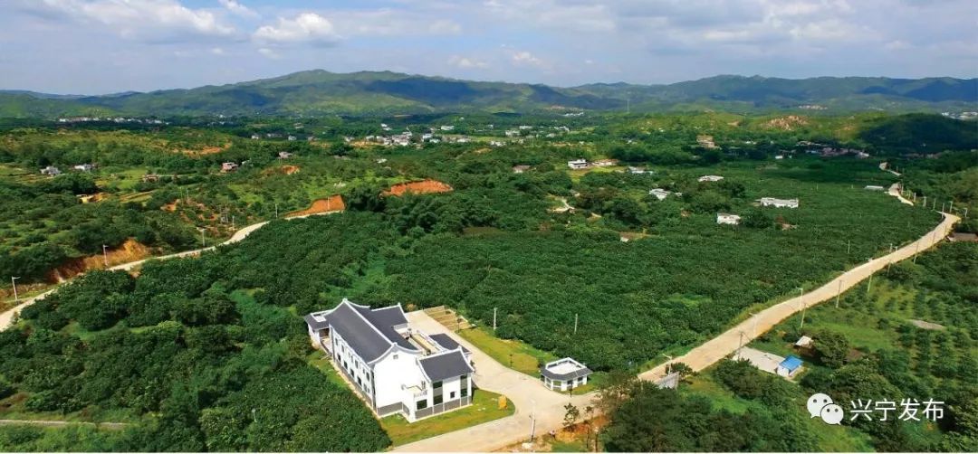 旅游产业园4a级景区→合水旅游风景区→大汉文化基 2,月形山森林公园