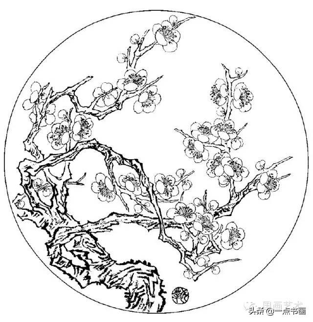 白描梅花图谱分享