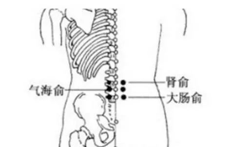 艾灸八大穴位,通臀部,调妇科,瘦大腿!