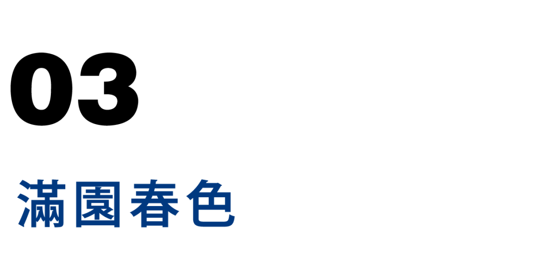 煎饼果子的宗教战争