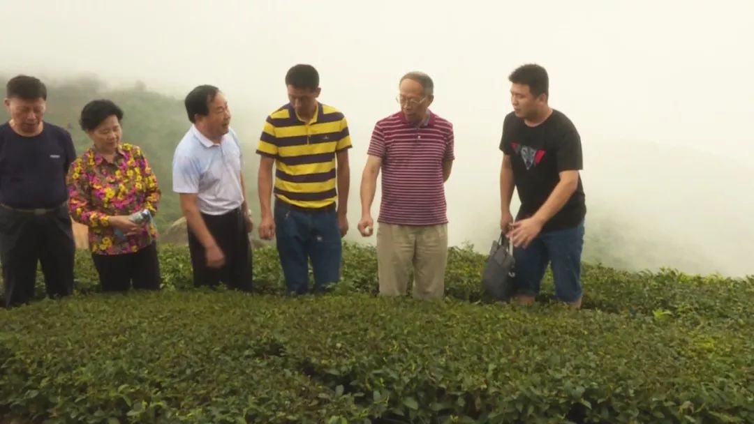 何正拔率队调研我县农村青年创业工作及