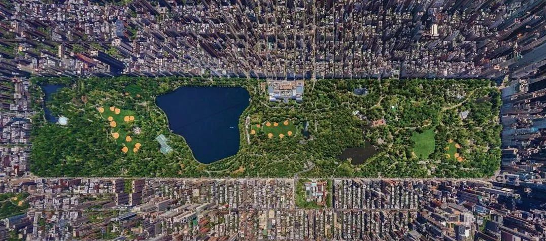 别羡慕纽约,亳州也有自己的中央森林公园