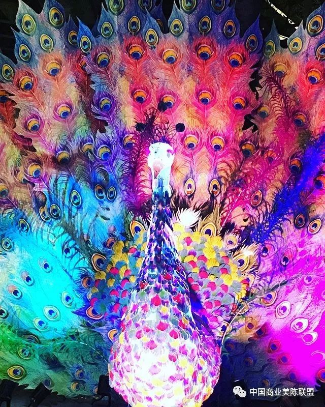 2019缤纷悉尼灯光音乐节装置艺术作品regalpeacock