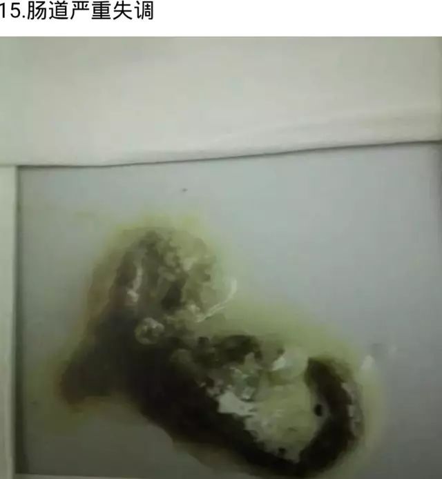 最全图解:看鸽子粪便识别鸽子病!