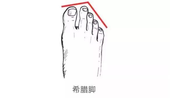 2dba21ee02674c45a69a4db7a2a1a8ed.jpeg
