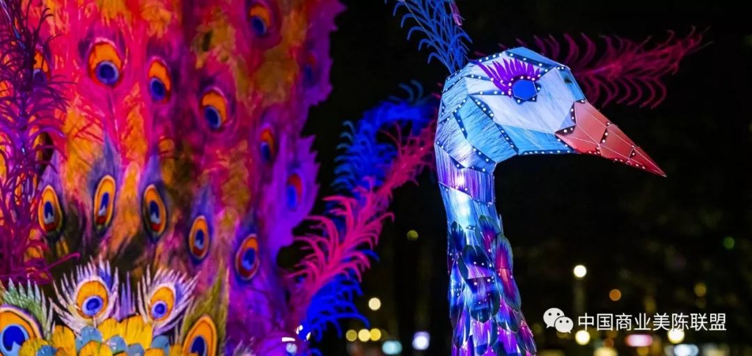 2019缤纷悉尼灯光音乐节装置艺术作品regalpeacock