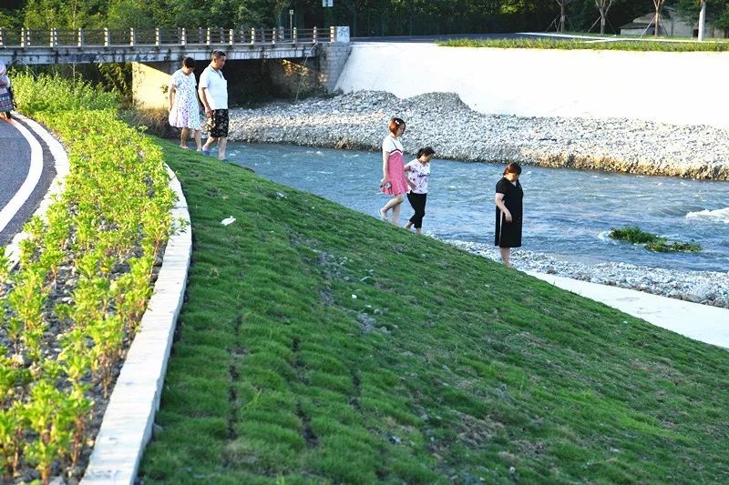 工程简介西河新津段左岸生态河堤是一种多功能的设计,它集"绿道建设