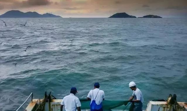 梦回海滨，细长之鱼的启示与海风中的自我探索