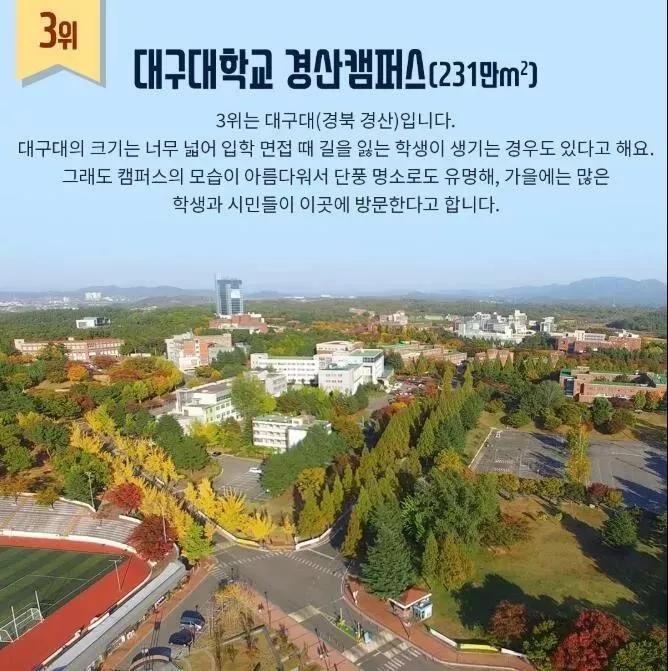 韩国外大学 国际校区(222万) 韩国外大首尔校区非常小,仅8万