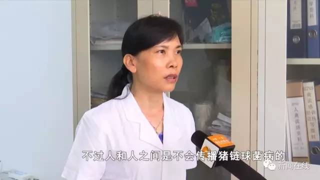 它是由多种致病性猪链球菌感染引起的一种人畜共患病 赵秀昌表示 猪