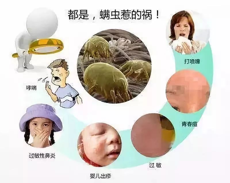 不到2毛钱,一放螨虫纷纷来"自杀"