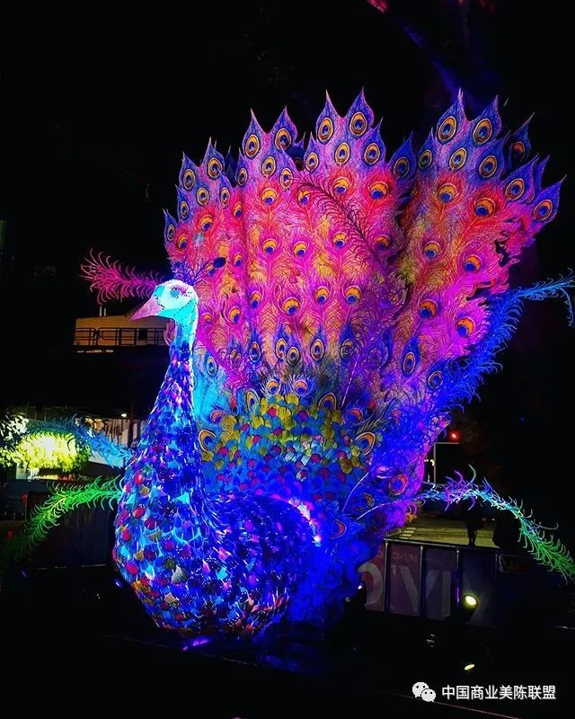 2019缤纷悉尼灯光音乐节装置艺术作品regalpeacock