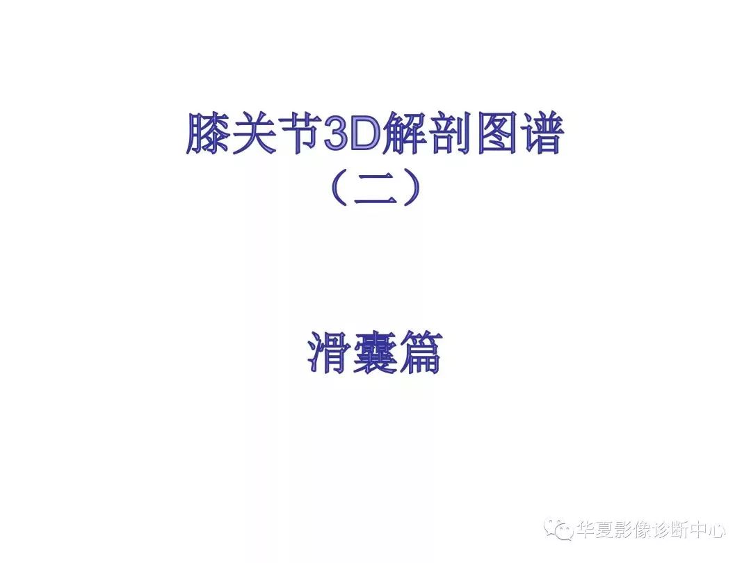 膝关节3d全彩解剖图谱,解剖学老师推荐的!