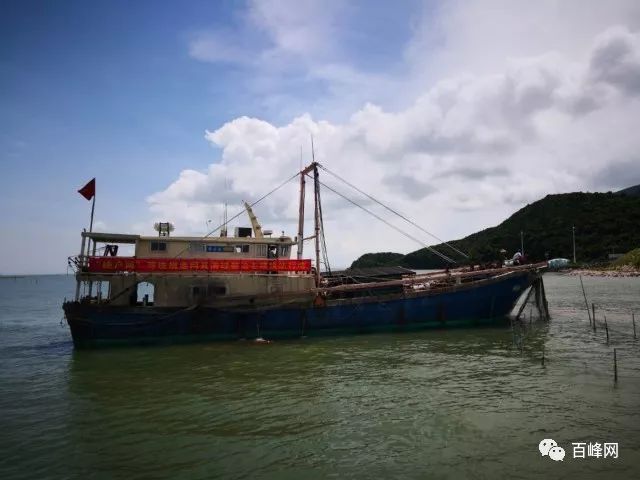 销毁违规渔网渔船,打击非法捕鱼,台山这群人在行动!