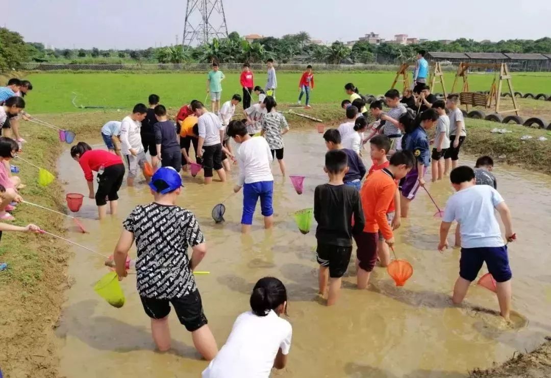 怎么带孩子去体验大凉山的生活 6d0f31f88cfc49fc90288f576c2b3ff2.jpeg