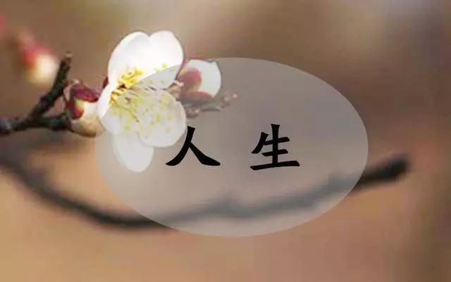 小说||舍与得