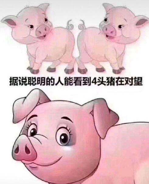 丨爆笑囧图
