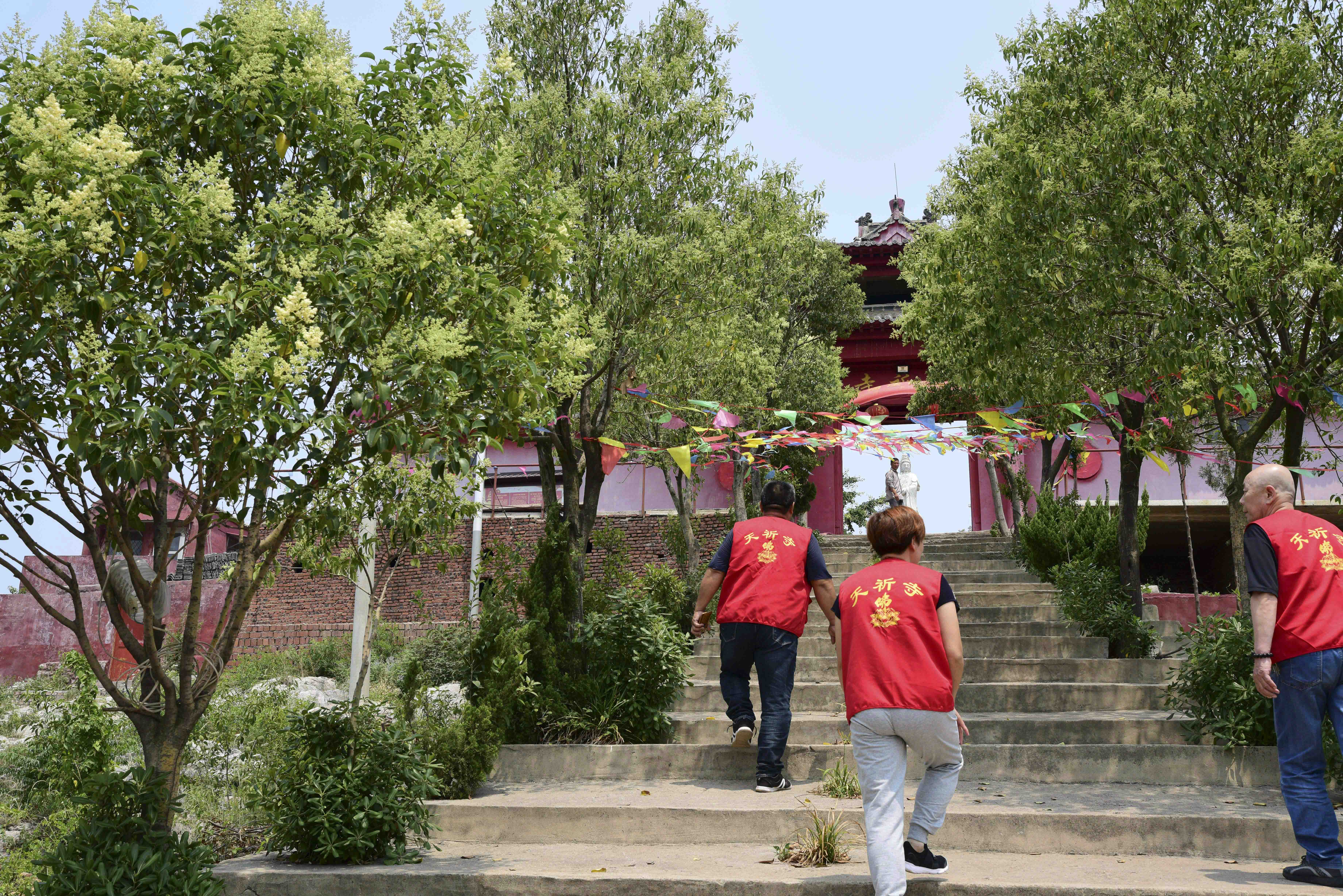 登徐州柳泉镇套里村庙山,看千年唐槐,游天祁寺