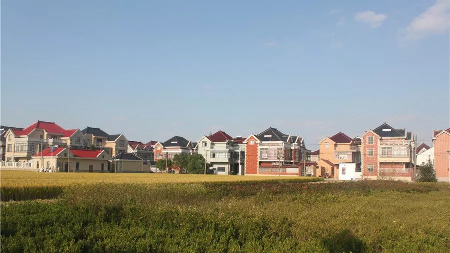 "向往的生活"原来在这里.美丽的上海乡村,等你来设计!