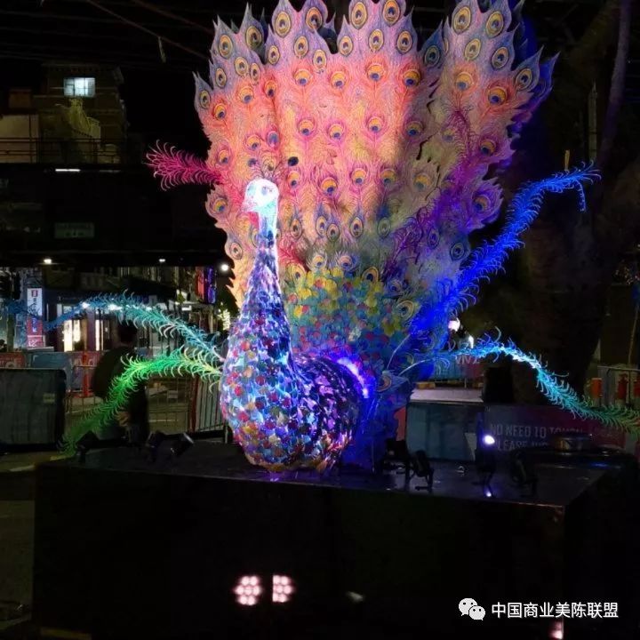2019缤纷悉尼灯光音乐节装置艺术作品regalpeacock
