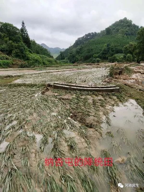 受暴雨影响河池发生山洪灾害农田电站被淹没道路塌方