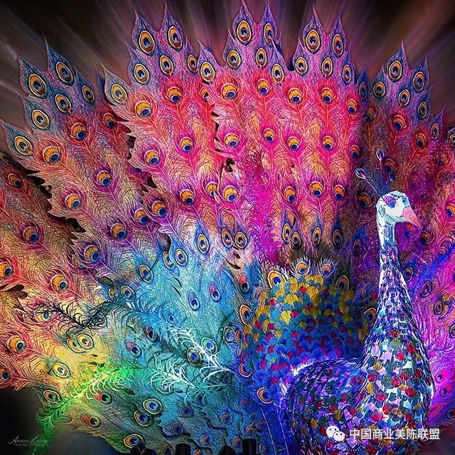 2019缤纷悉尼灯光音乐节装置艺术作品regalpeacock