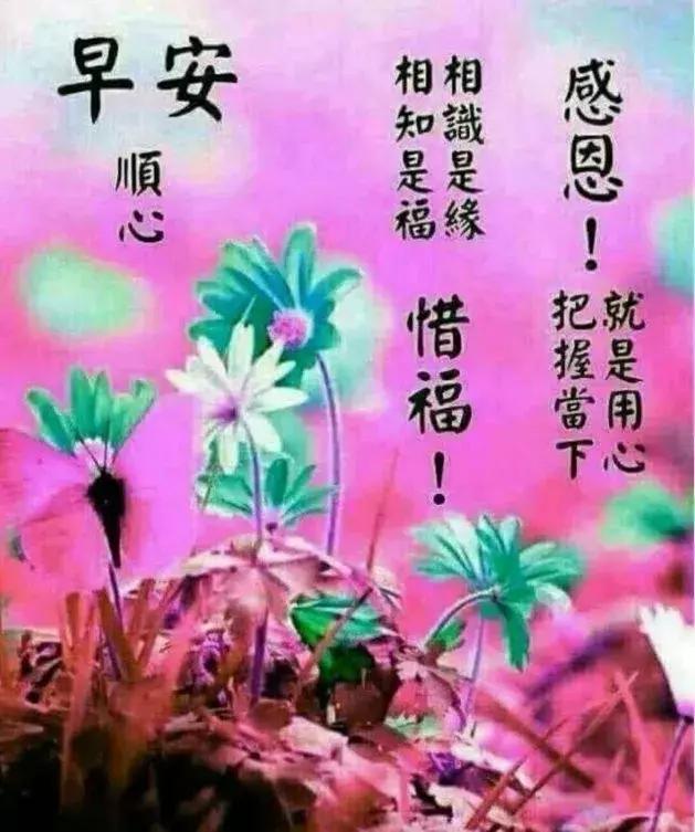 祝福每一个好友,幸福天天,长命百岁,早上好