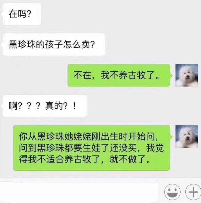 一组卖狗聊天记录:3000元可以买怎样的茶杯?不锈钢的.