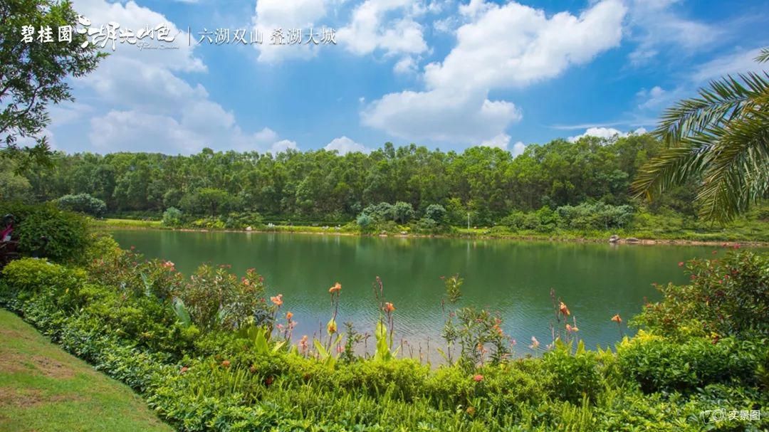 湖光山色 | 环湖半山美墅,诠释湖居雅境之美!