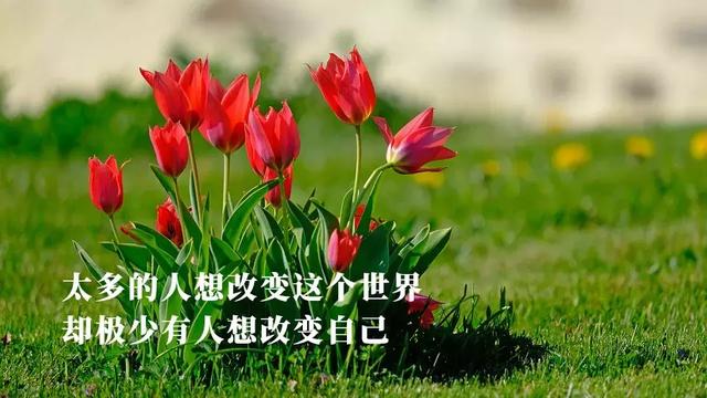 9ca2f34fc6bf4c649a064567187232a0.jpeg
