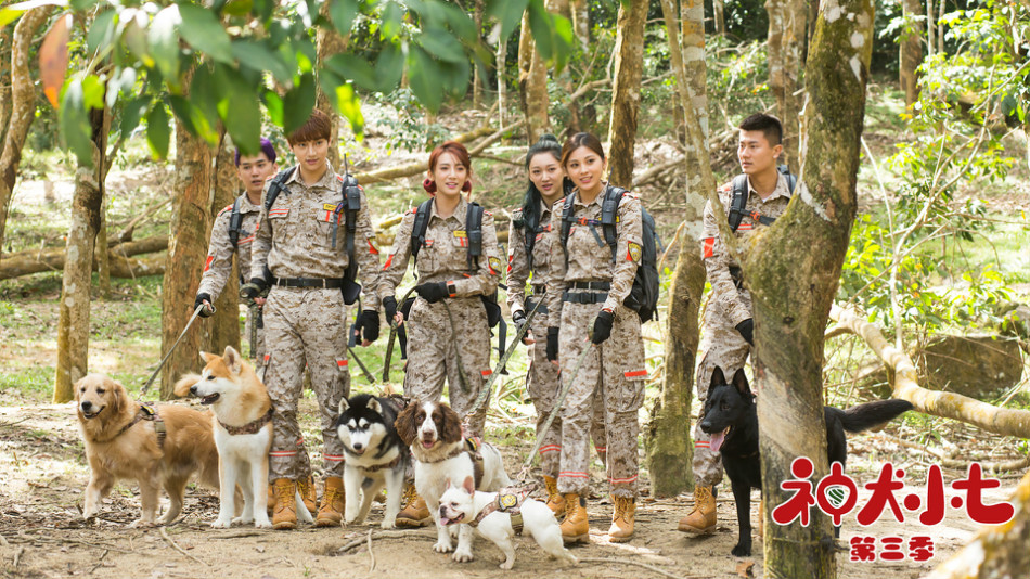 《神犬小七3》定档6月27日 姜潮宋妍霏与萌宠上演暖心救援