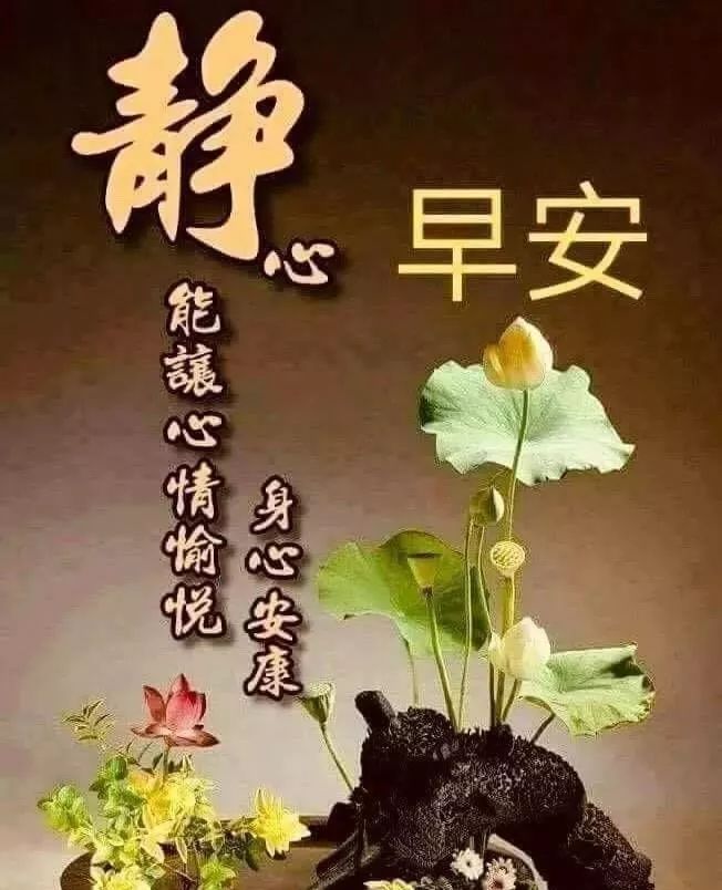 最新漂亮早上好温馨祝福语动态图片 唯美早上好暖心问候语短信