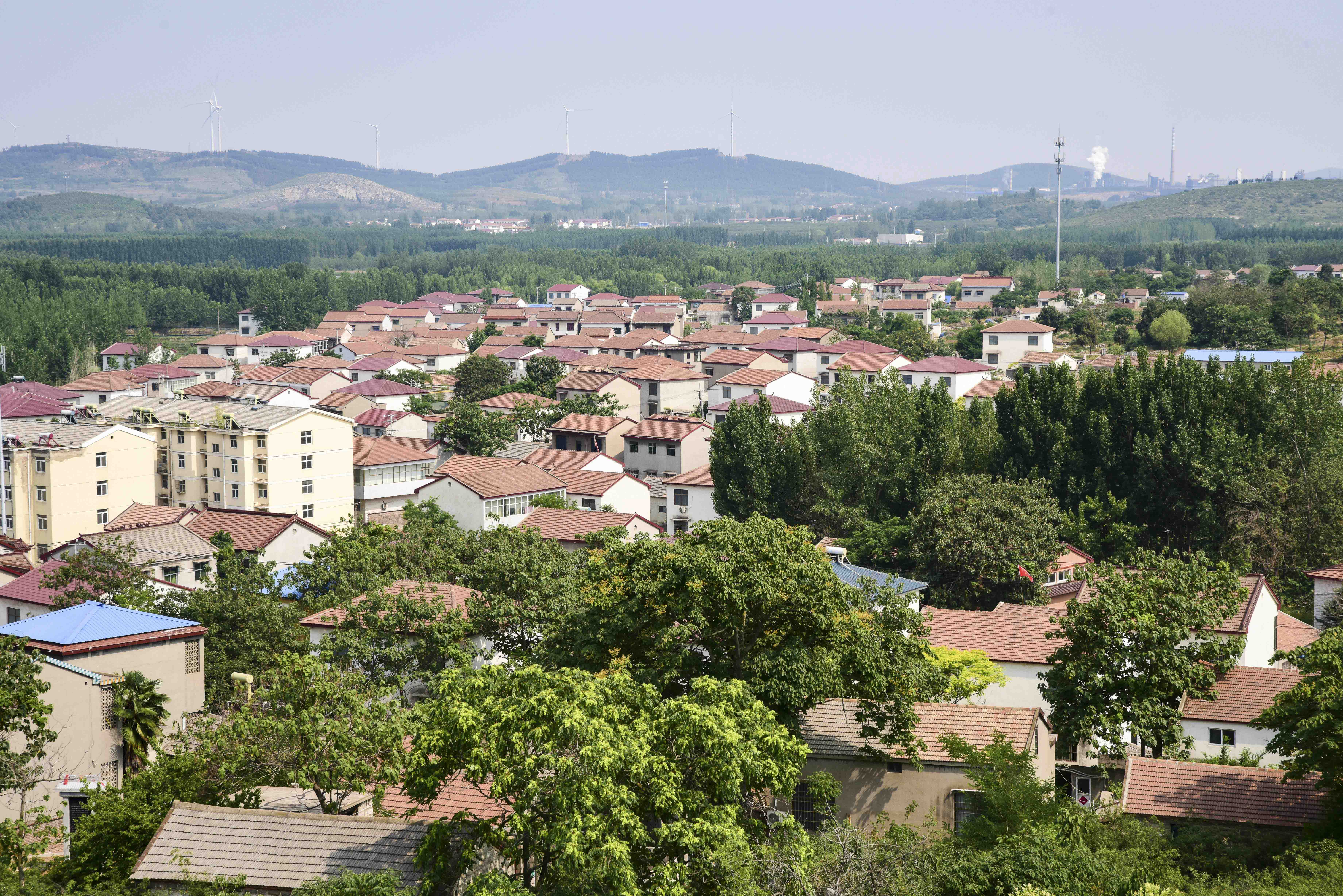 登徐州柳泉镇套里村庙山,看千年唐槐,游天祁寺