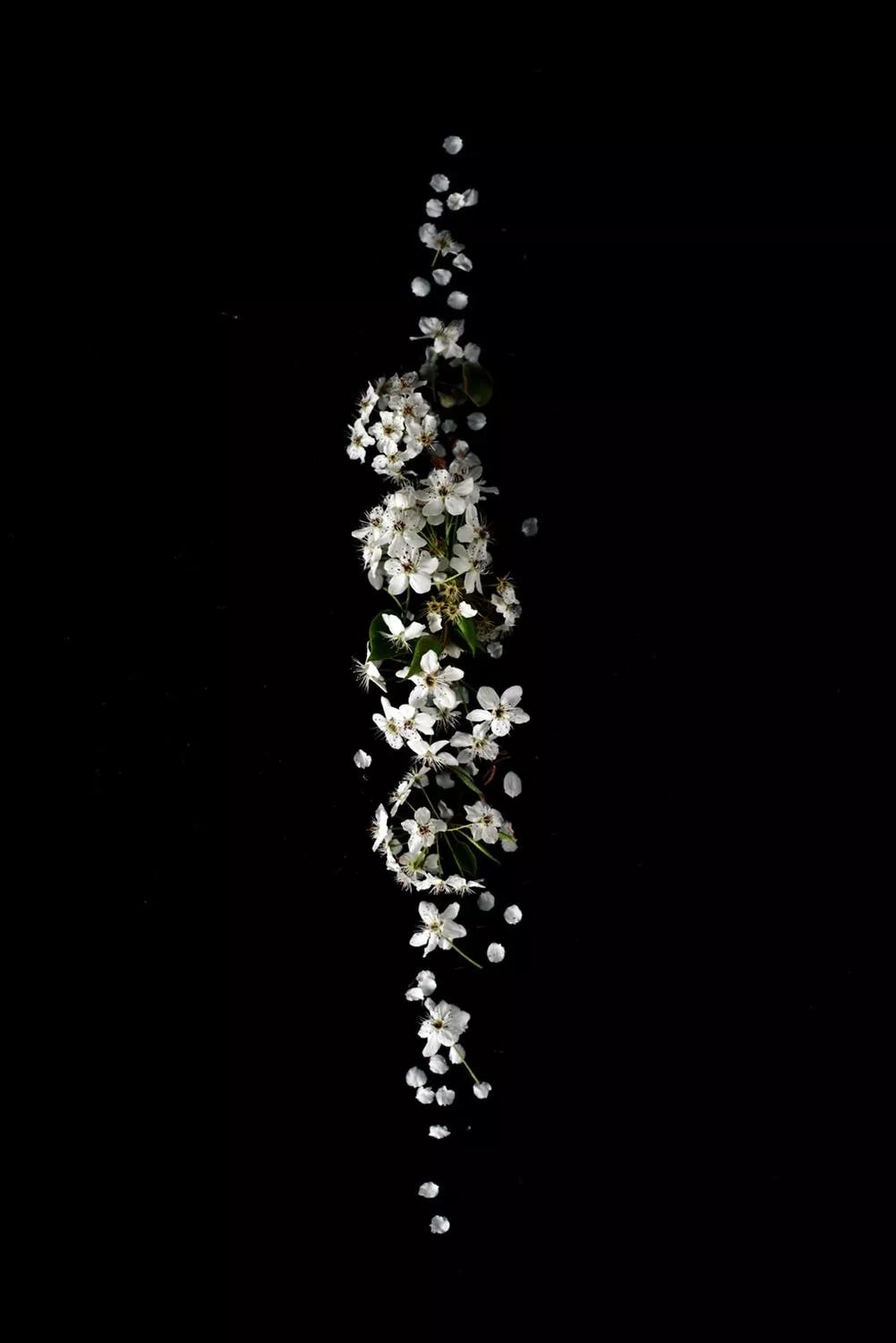 b56356e4f4bb48949e6de5456eaca1ea.jpeg
