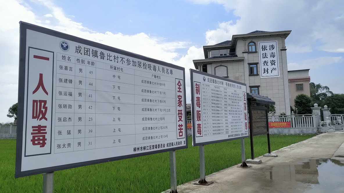 广西人口大镇排名_广西人口分布图(3)