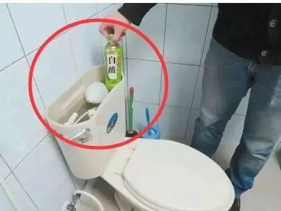 ba8e20d2de3743bb86d3d8e89f74391a.jpeg