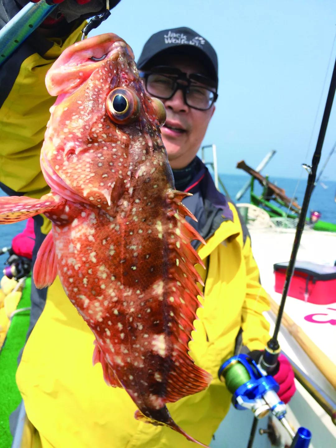 炎月钓法邂逅真鲷,铁板钓鰤鱼……这趟海钓真的震撼到