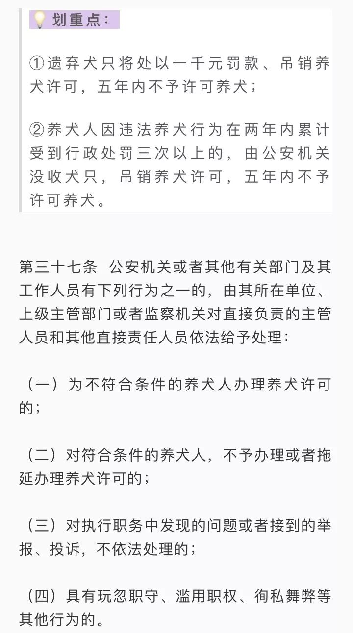 文明养犬养狗人士注意新的养犬管理条例已经实施这些情况要注意