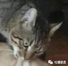 c6316d190a23498eb7de204f93437406.jpeg