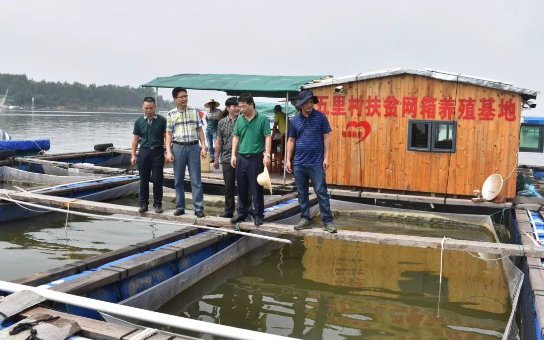 乡村振兴|市司法局局长赖洪健率队到湛江市五里村调