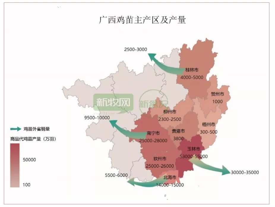 数说禽事丨存栏1500万套广西父母代国鸡已达饱和点