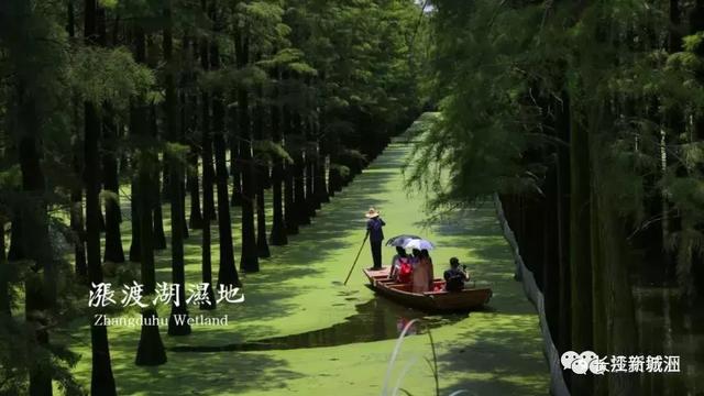 这就是新洲走进武汉最美后花园