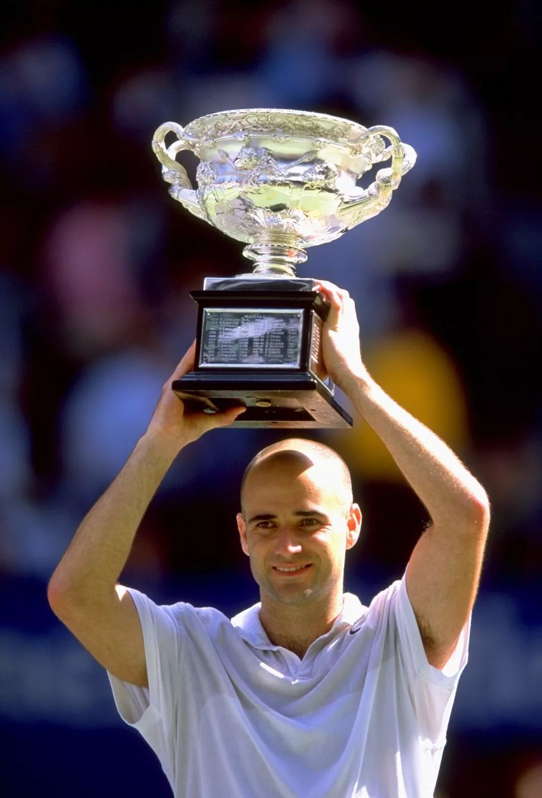 法网什么成语_成语故事图片