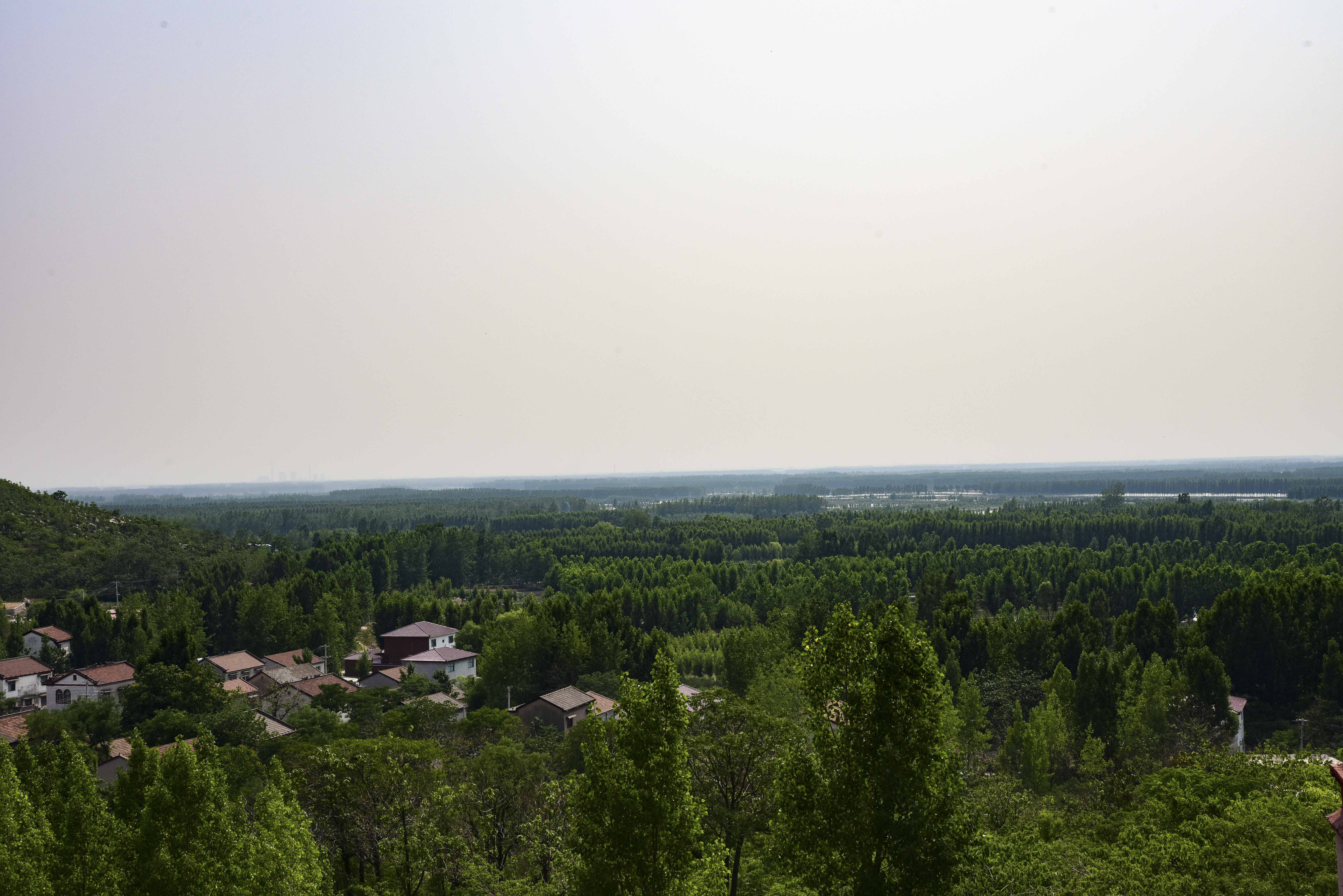 登徐州柳泉镇套里村庙山,看千年唐槐,游天祁寺