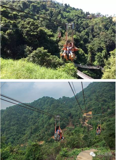 定制1天佛山三水南丹山树冠廊桥峡谷飞索玻璃廊桥滑道6d玻璃桥维记