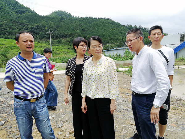 黄曼到花贡镇竹塘河巡河图文