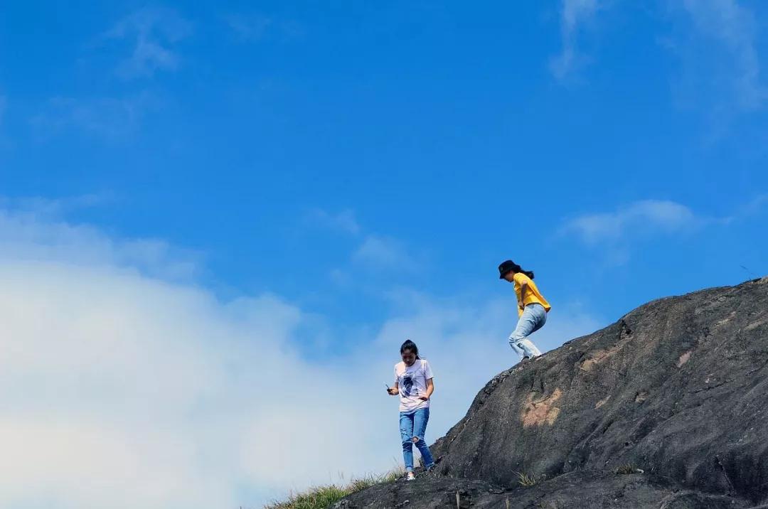 23号起，运势步入巅峰，3生肖财运开花，富贵大发！