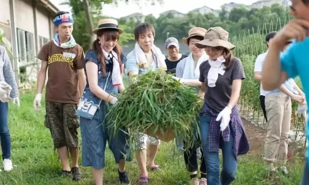 馬子包分配了！這個國家用AI拯救單身狗 旅遊 第7張