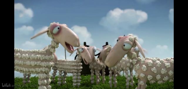 血腥版《小羊肖恩》？可爱小羊为何自寻死路？