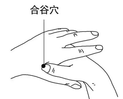0b58cb5e9f8b47c0a6495db84c27a407.jpeg